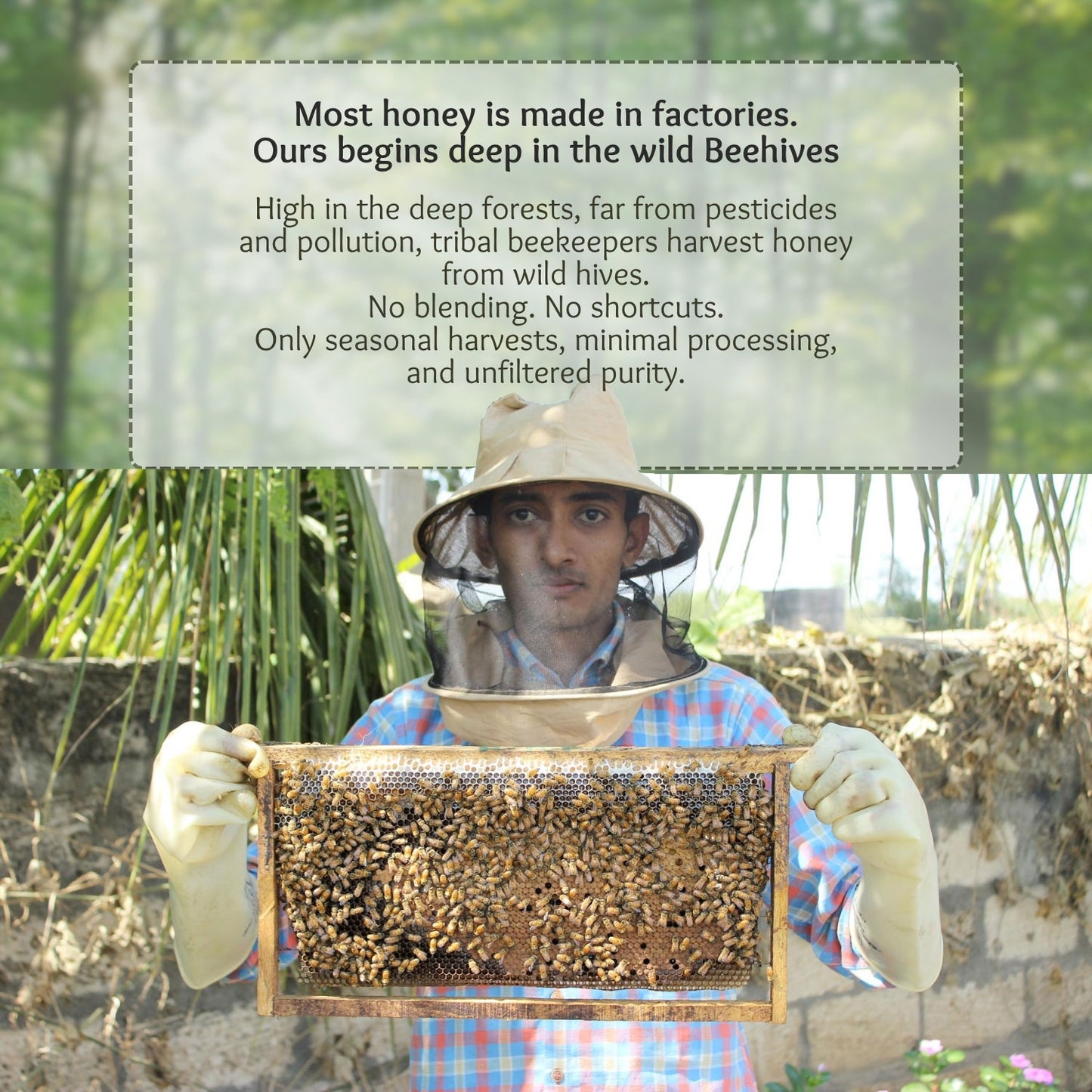 Raw Honey Founder Pintu Suvagiya Organic natural pure The Natures Way