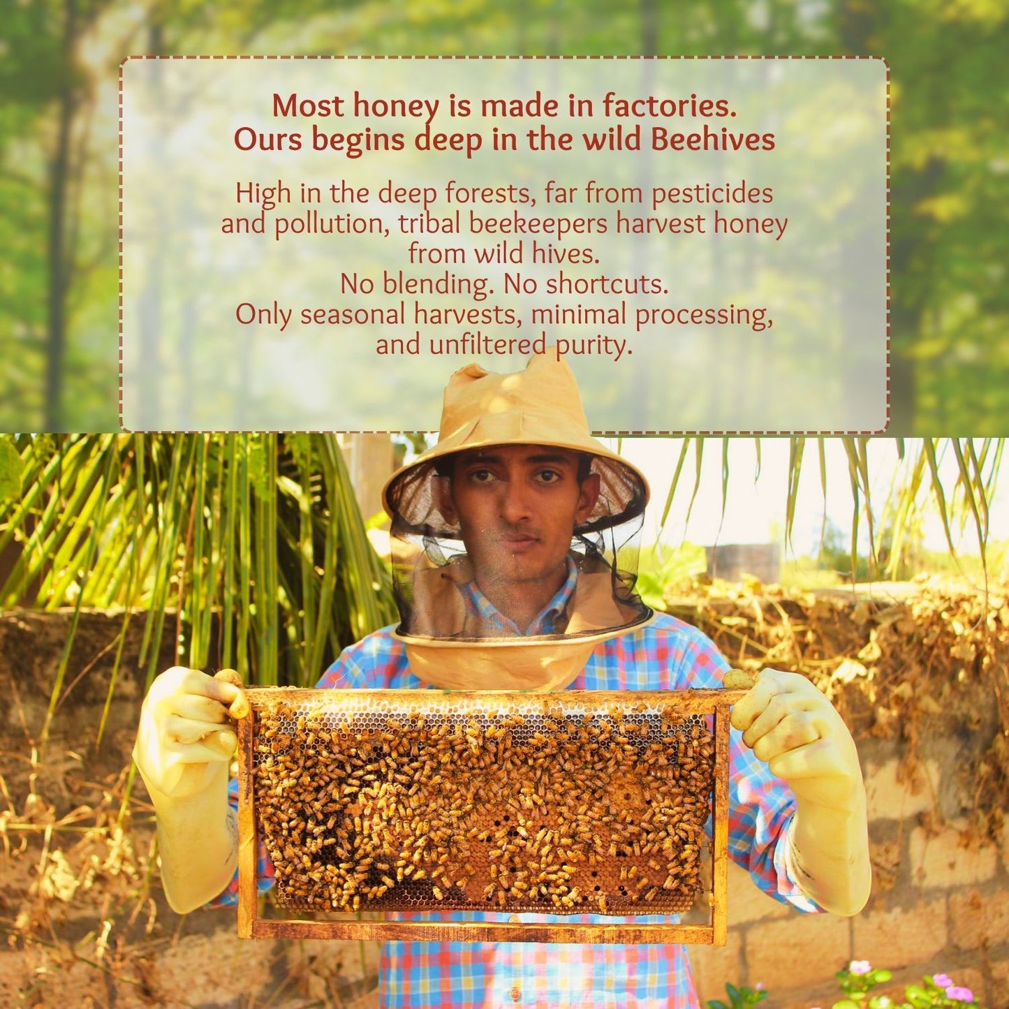 pure lychee honey jar natural raw honey from Bihar India