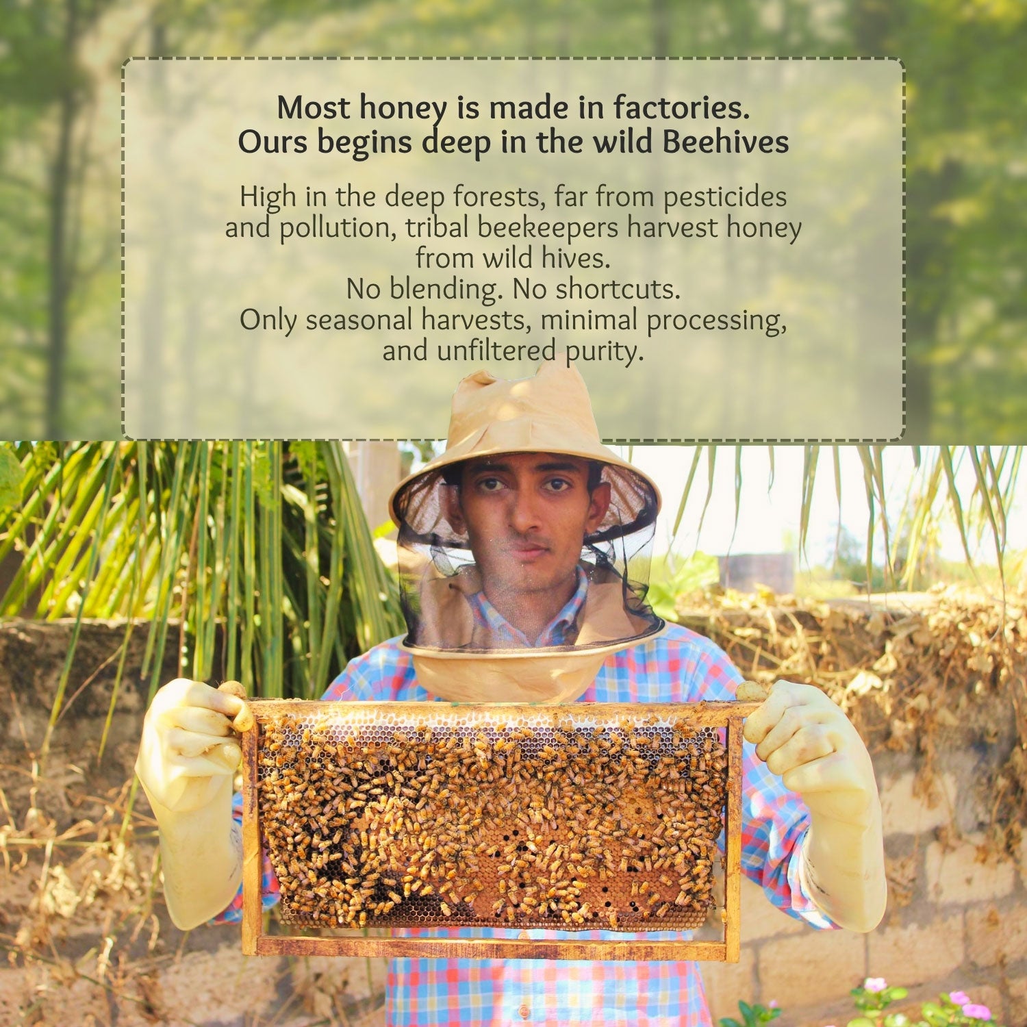 best honey brand in gujarat best honey brand in rajkot raw honey
