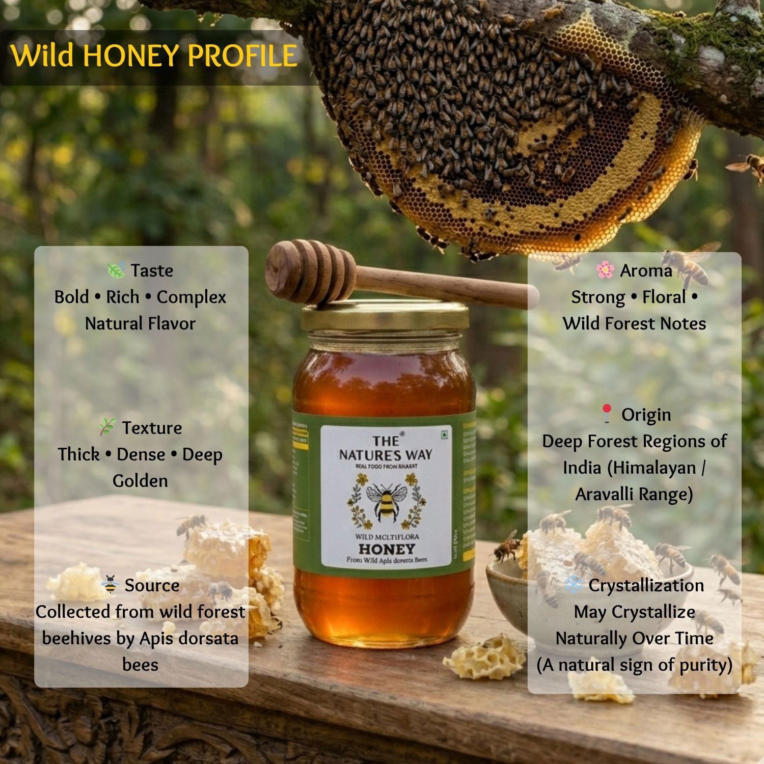 top organic honey brand in gujarat india