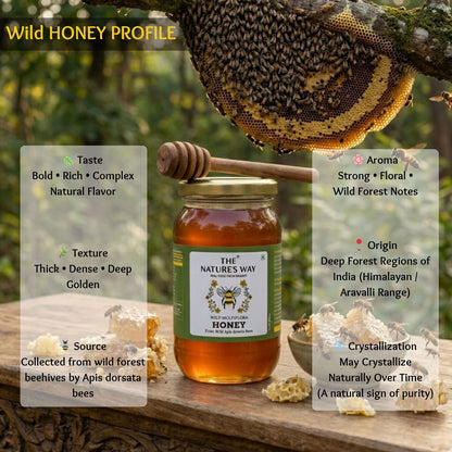 top organic honey brand in gujarat india