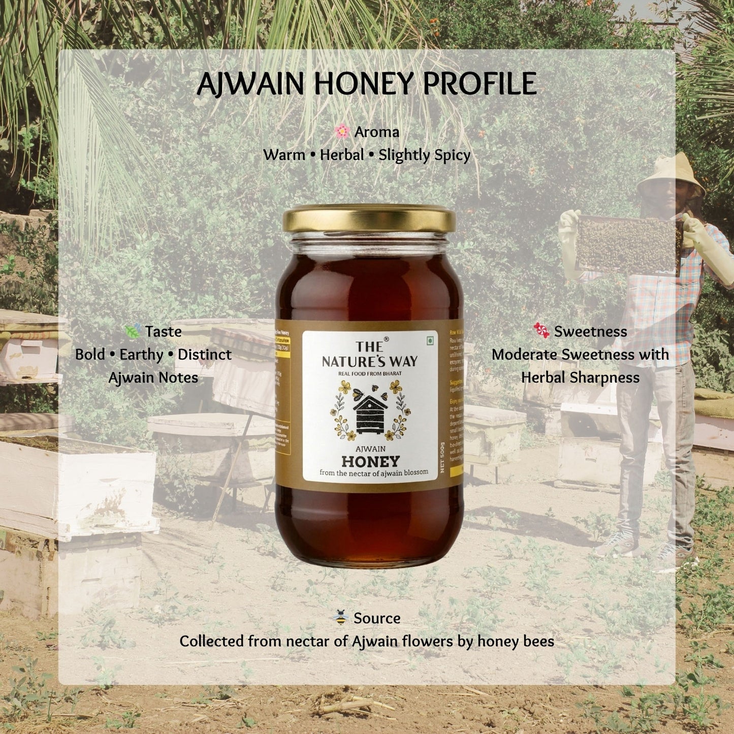 pure raw ajwain honey