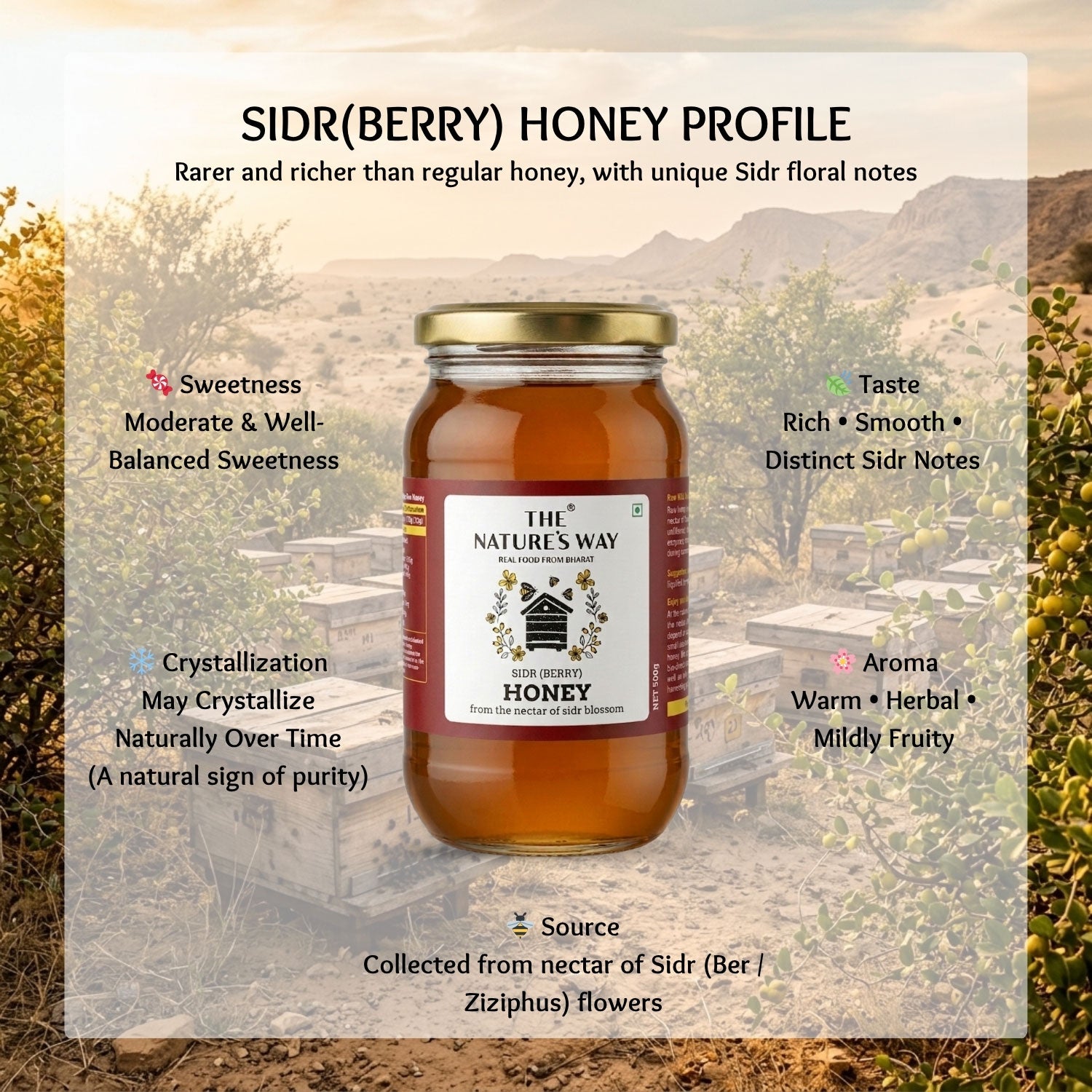 organic honey in gujarat