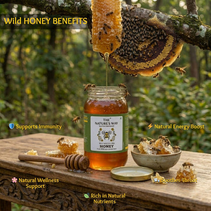 raw organic wild forest honey in rajkot