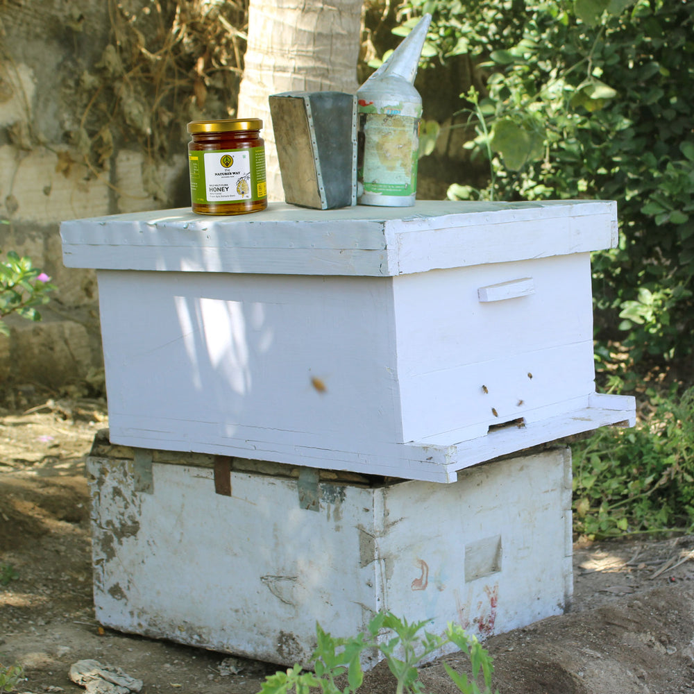 raw wild honey | pure organic honey