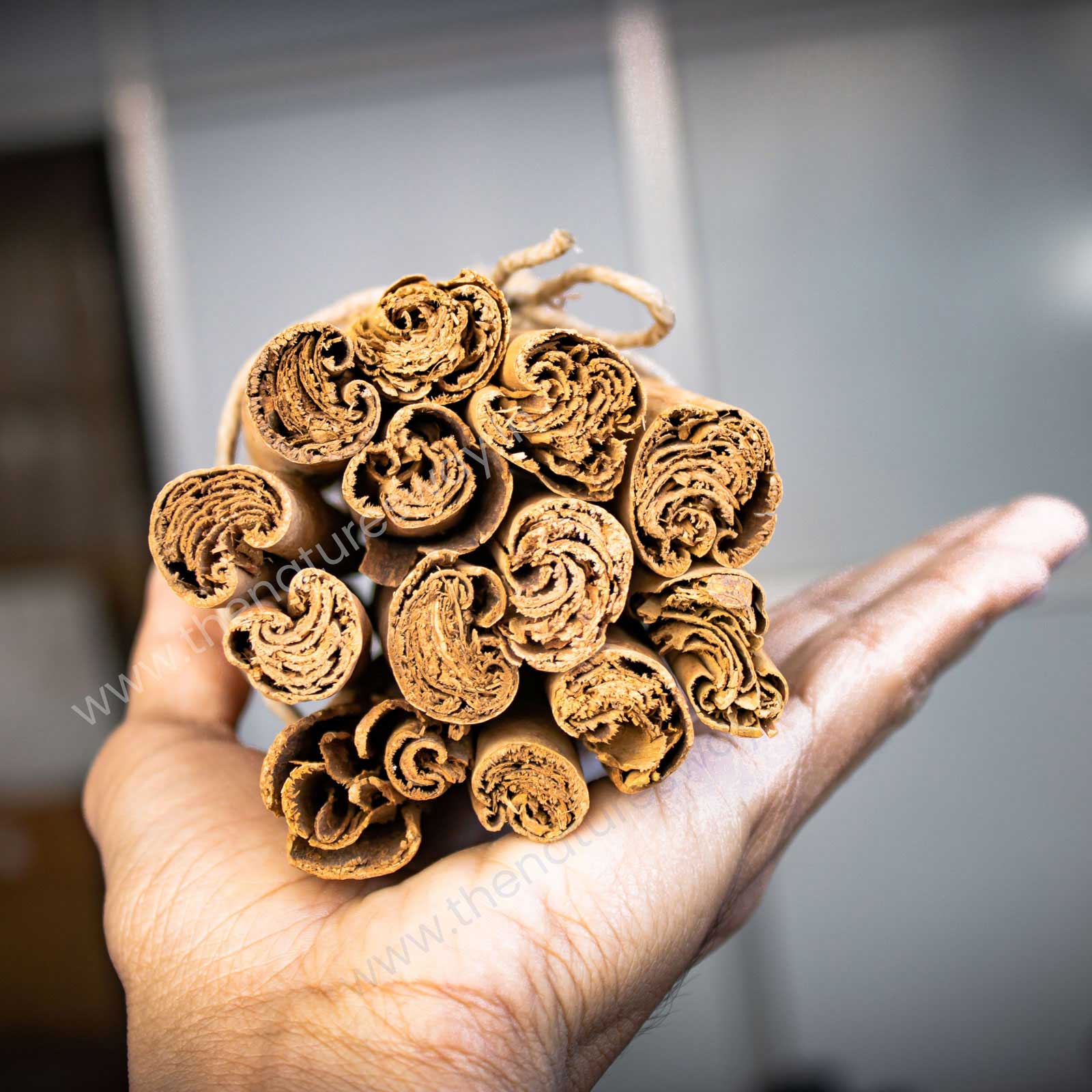 cinnamon quills authentic dalchini 
